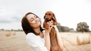 Aufenthalt mit dem Hund Wellnessurlaub mit Hund