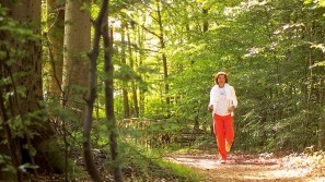 Joggen im Wellnessurlaub - Hotel Birke | Kiel Laufstrecke durch den Wald - Hotel Birke | Kiel