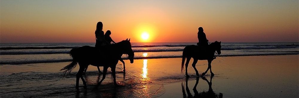 Wellnessurlaub - Reiten am Strand Mit dem Pferd am Strand im Wellnessurlaub