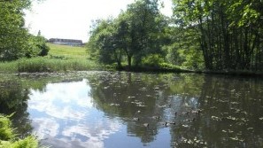 Hotel Heinz - Westerwald - The pond in summer The pond in summer | Hotel Heinz - Westerwald