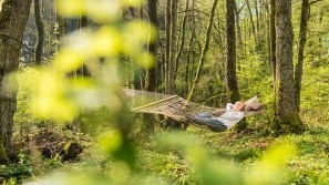 Hotel Heinz - Westerwald - Hammock in the forest Hammock in the forest | Hotel Heinz - Westerwald
