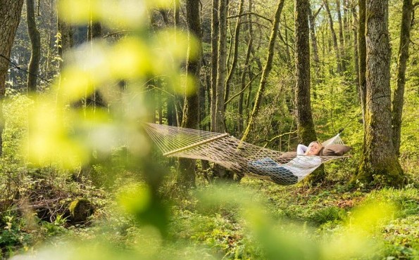 Hotel Heinz - Westerwald - Hängematte im Wald Hängematte im Wald | Hotel Heinz - Westerwald