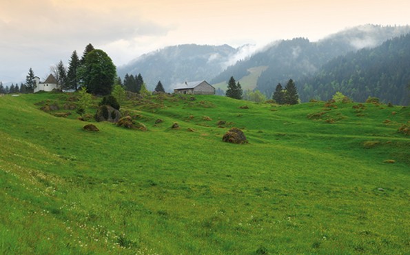 Wellness in Allgäu | Bavaria | Hubertus unplugged Mountain meadow in Allgäu | Bavaria | Hubertus unplugged