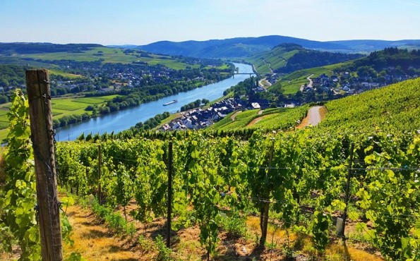 Wellness an der Mosel | Rheinland-Pfalz | Lifestyle-Resort Zum Kurfürsten Weinberge an der Mosel in Bernkastel-Kues | Lifestyle-Resort Zum Kurfürsten