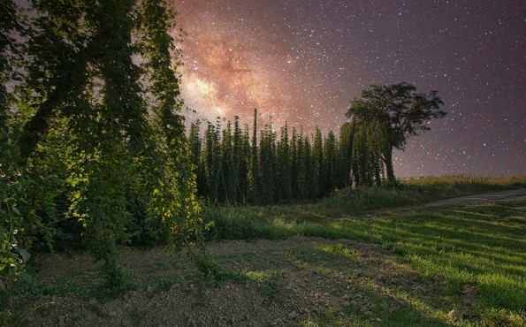 Wellness in Niederbayern | Hallertau Hopfenanbaugebiet bei Nacht in der Hallertau | Niederbayern