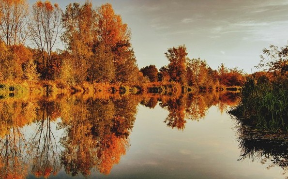 Wellness in the Lower Lausitz | Brandenburg The autumnal Niederlausitz in Brandenburg