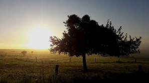 Wellness im Westerwald | Rheinland-Pfalz Sonnenaufgang im Westerwald