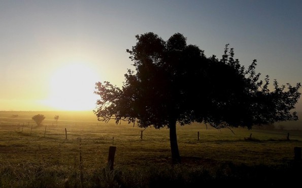 Wellness in Westerwald | Rhineland-Palatinate Sunrise in the Westerwald