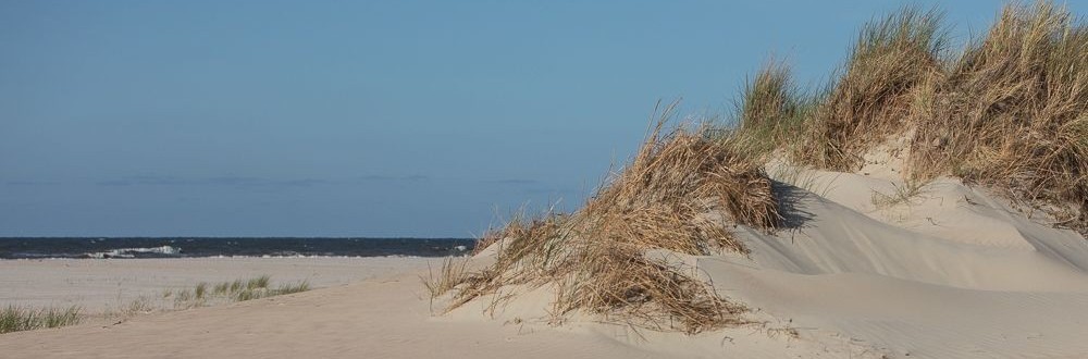 Wellnessurlaub am Meer der ostfriesischen Insel Norderney Entspannen zwischen Sanddüne auf der Nordseeinsel Norderney