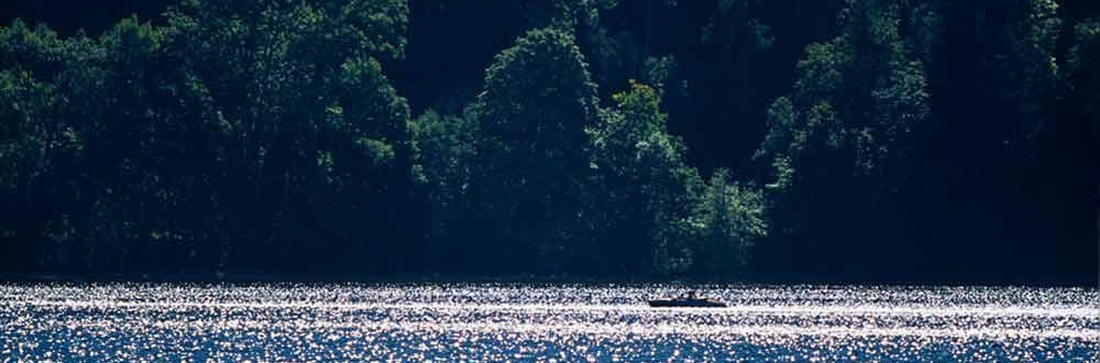 Wellness in the Black Forest in Baden-Wuerttemberg Recreation at the natural lake in the Black Forest in sunshine