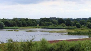 Wellnesswochenende im Münsterland An den Feuchtwiesen im Münsterland entspannen