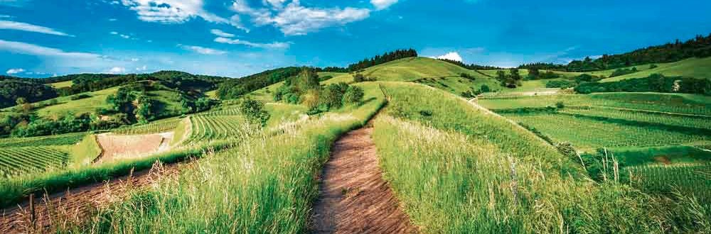Wellness in the centre of Germany The hilly landscape in the middle of Germany invites you to relax