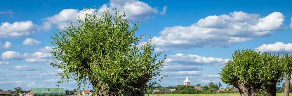 Erholung im Wellnessurlaub in der Niederlausitz Entspannung in der grünen Natur der Niederlausitz