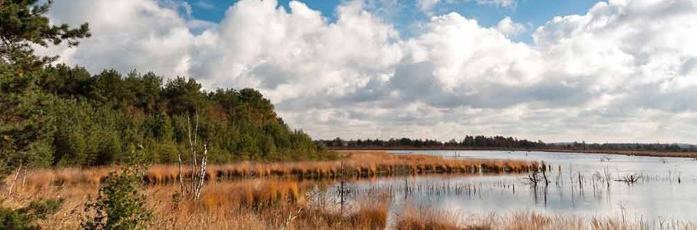 Urlaub und Wellness in Niedersachsen Wellness mit Seeblick in Niedersachsen