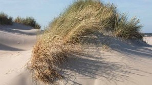 Wellness an der Nordsee - Wellness-Hotels & Resorts Nordseeferien mit purer Entspannung - Wellness-Hotels & Resorts