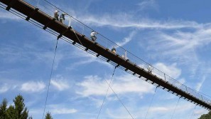 Active wellness holidays in the Hunsrueck in Saarland Get active on the suspension bridge in the Hunsrueck Hochwald National Park