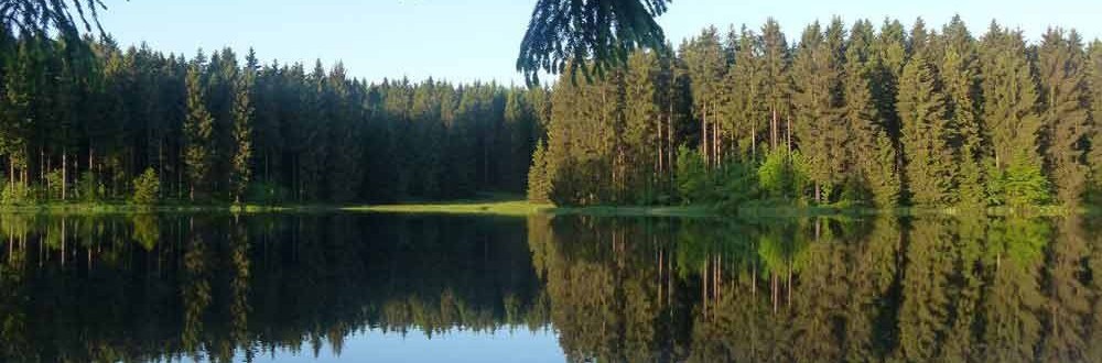 Wellness holidays in Saxony-Anhalt Wellness, relaxation and peace at the lake in Saxony-Anhalt