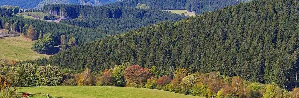 Regeneration with a wellness weekend in Sauerland Small break with the view over the autumnal Sauerland