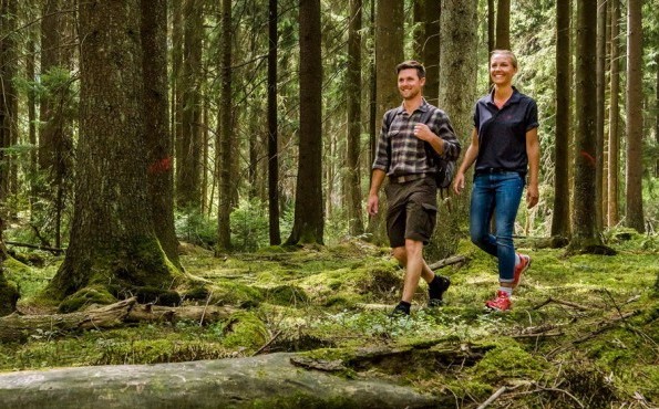 Stress prevention through forest bathing in wellness holidays - Seezeitlodge Hotel & Spa Health care in nature - Seezeitlodge Hotel & Spa