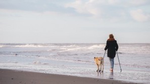 Wellness-Auszeit mit dem Hund genießen Wellnessurlaub an der Nordsee mit Hund