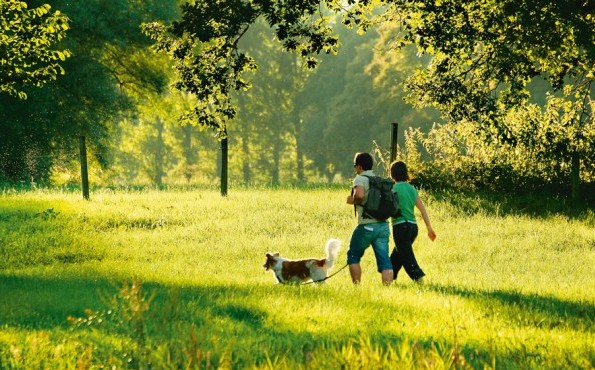 Wellnessurlaub mit dem Hund - Hotel Sonnengut Wellnessurlaub mit dem Hund - Hotel Sonnengut